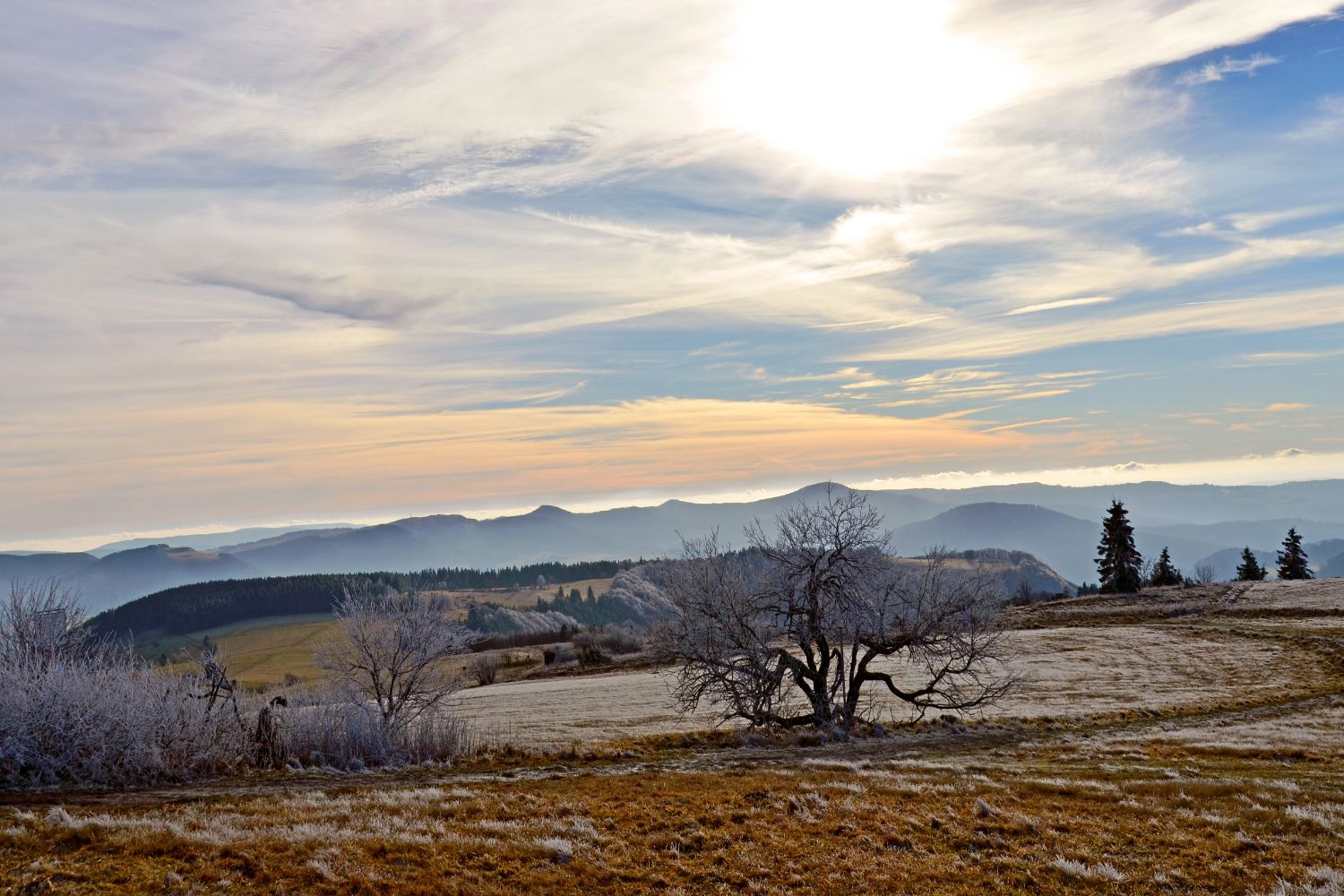 Rhön